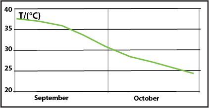 hive temperature